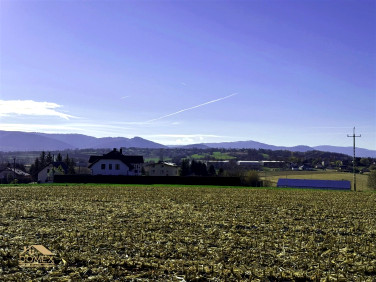Działka budowlana Rudzica