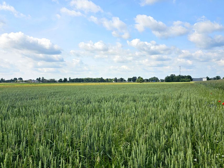 Działka budowlana Wielgolas Duchnowski