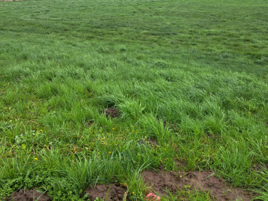 Działka rolna Kotomierz