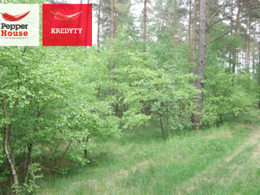 Działka leśna Legbąd