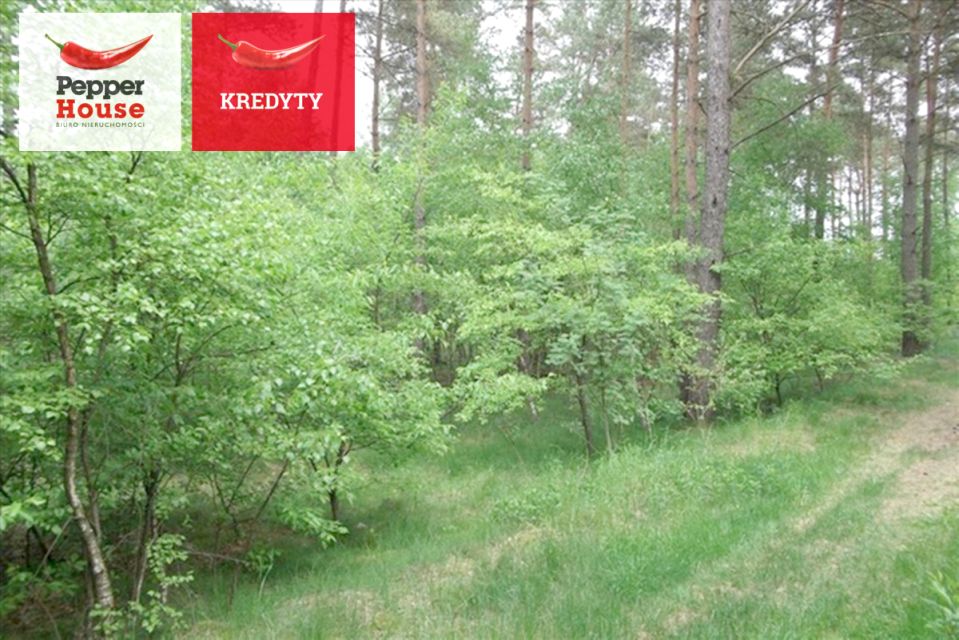 Działka leśna Legbąd