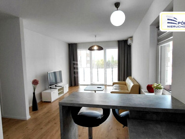 Mieszkanie Bolesławiec wynajem