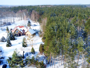 Dom Zarośle Cienkie