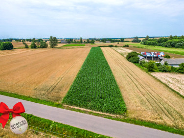 Działka budowlana Fajsławice sprzedam