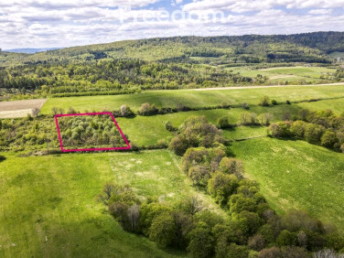 Działka rekreacyjna Końskie