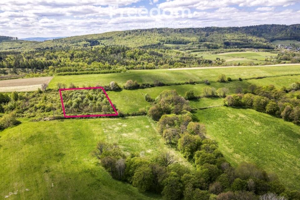 Działka rekreacyjna Końskie