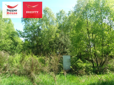 Działka budowlana Łężyce