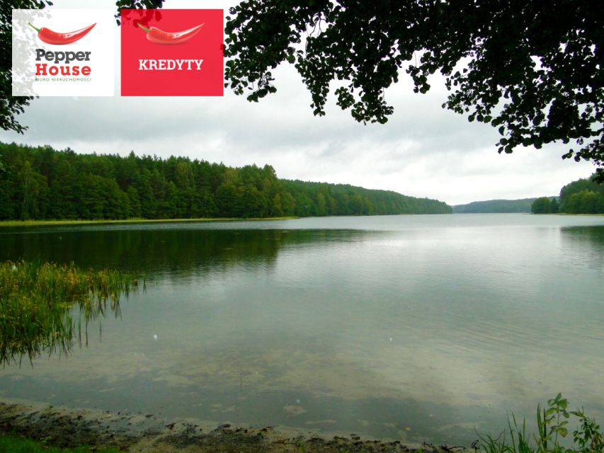 Działka leśna Skorzewo