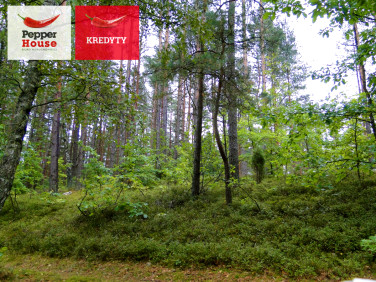 Działka leśna Skorzewo sprzedam