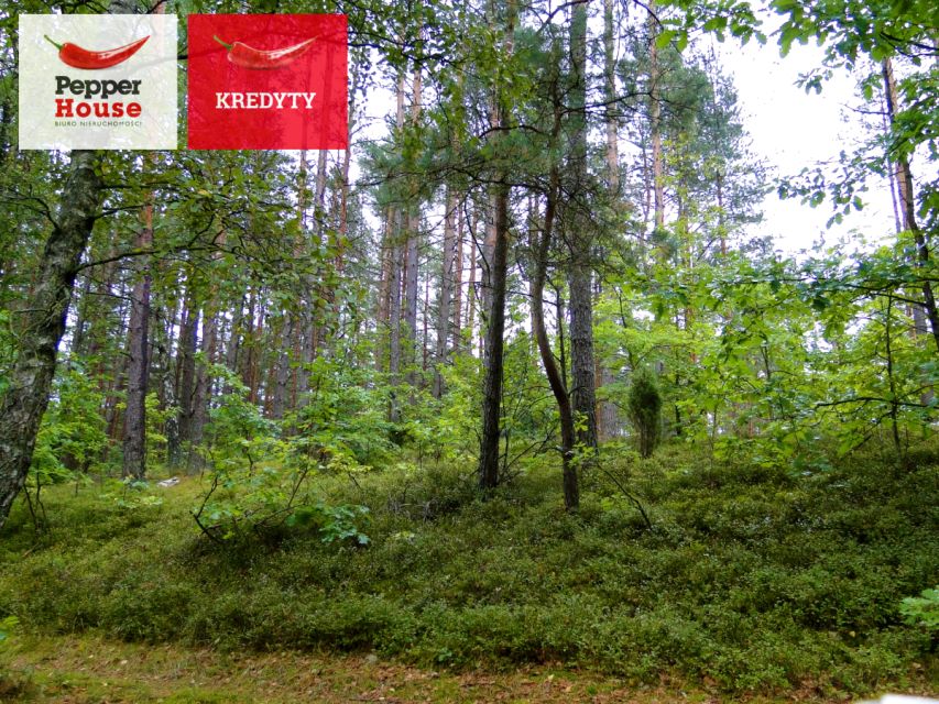 Działka leśna Skorzewo sprzedam