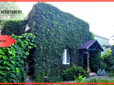 Dom Aleksandrów Kujawski