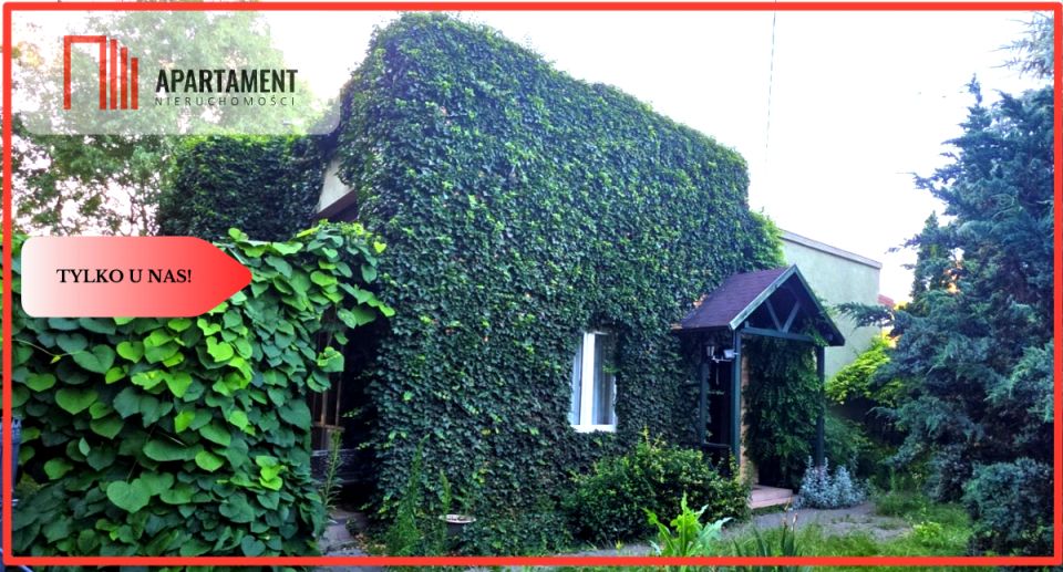 Dom Aleksandrów Kujawski