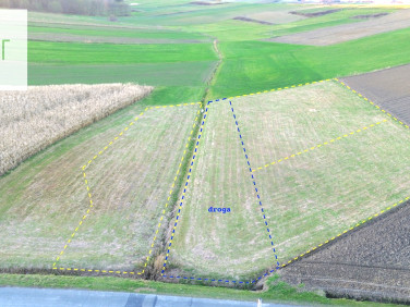 Działka Niedźwiada