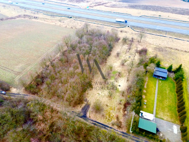 Działka inwestycyjna Wisznia Mała