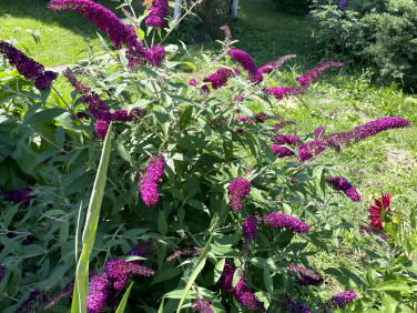 Mieszkanie dom wielorodzinny Białystok