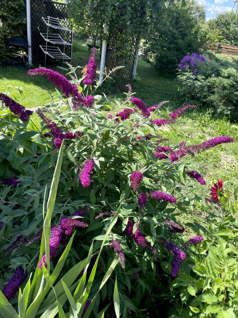 Mieszkanie dom wielorodzinny Białystok
