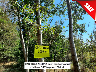 Działka Dąbrowa Zielona