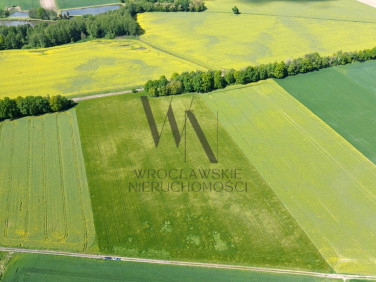 Działka inwestycyjna Oleśnica