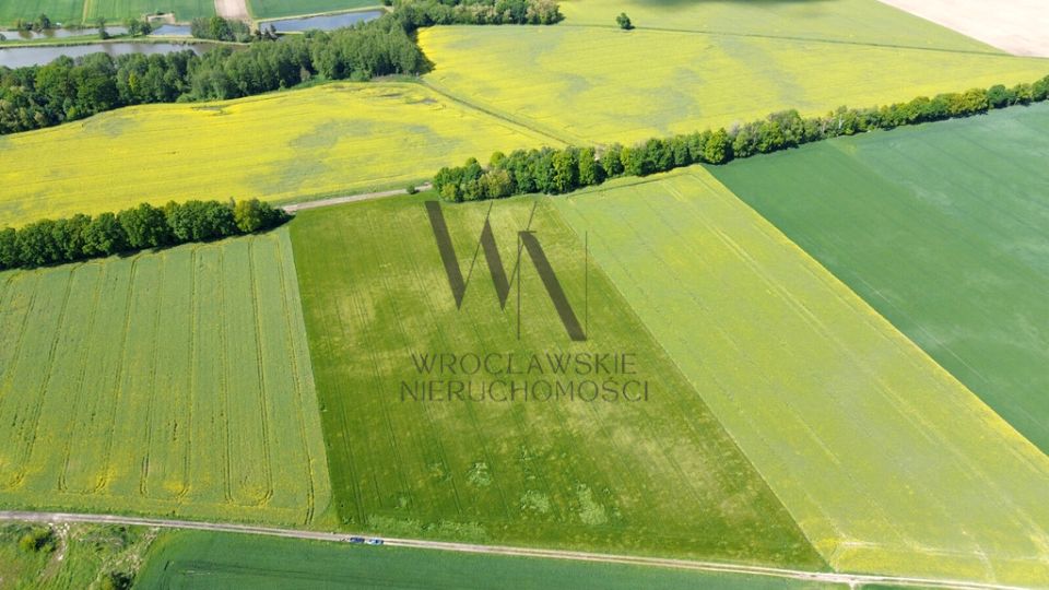 Działka inwestycyjna Oleśnica