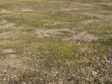 Działka budowlana Wiktorów