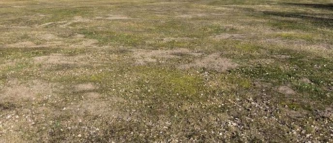 Działka budowlana Wiktorów