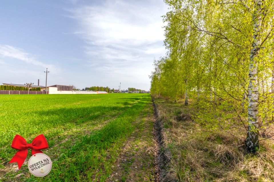 Działka przy lesie