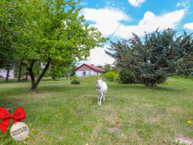 Działka Stara Wieś