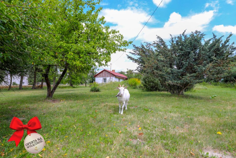 Działka Stara Wieś