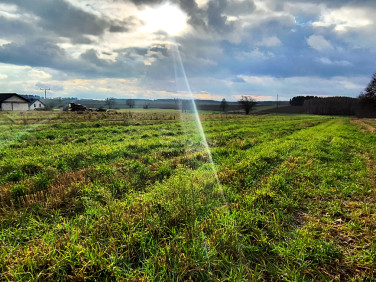 Działka budowlana Janów Podlaski