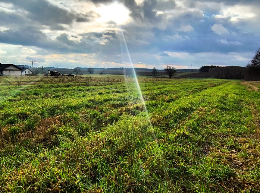 Działka budowlana Janów Podlaski