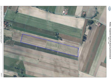 Działka rolna Binino