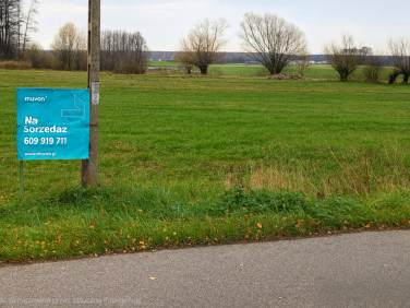 Działka budowlano-rolna Albinów