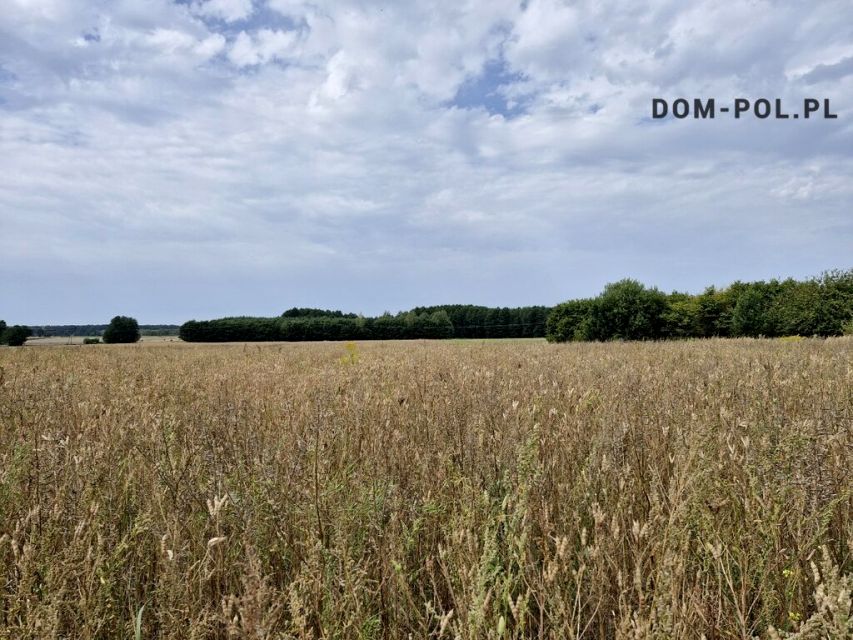 Działka rolna Malinówka