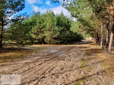 Działka rolna Borowa