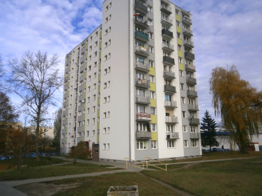 Mieszkanie Zielona Góra