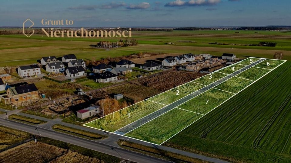 Zdjęcie 3