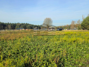 Działka budowlana Zamość