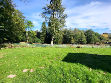 Działka budowlana Szklarska Poręba