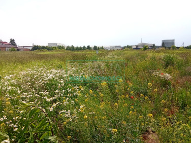 Działka budowlana Radonice