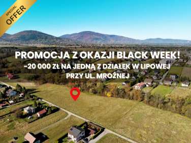 Działka Lipowa