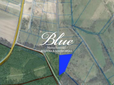 Działka nad jeziorem