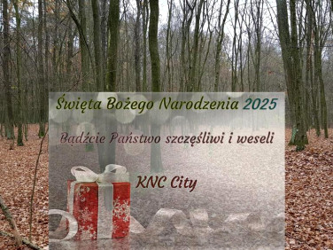 Działka leśna Samoklęski