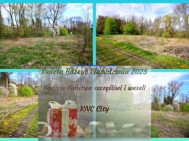 Działka rolna Motycz sprzedam