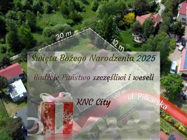 Dom wolnostojący sprzedaż