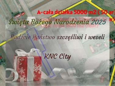 Działka Brzostówka