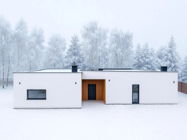 Dom wolnostojący sprzedaż