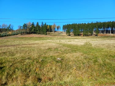 Działka budowlana Kudowa-Zdrój