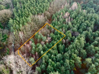 Ogrodzona działka Sokolniki-Las