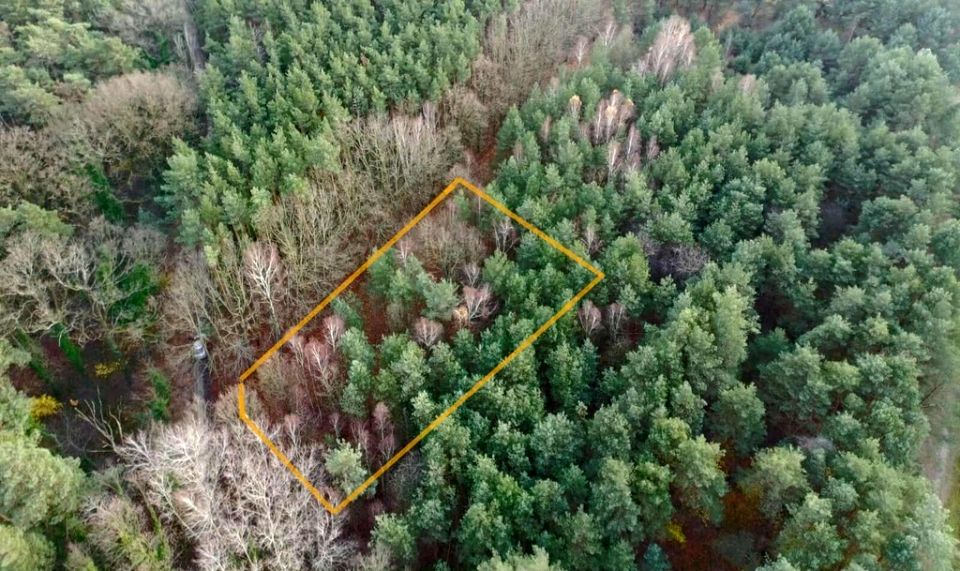 Ogrodzona działka Sokolniki-Las