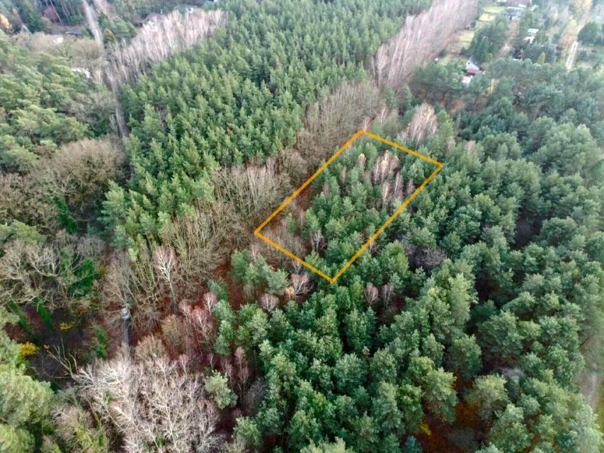 Działka budowlana Sokolniki-Las